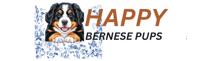 Happy Bernese Pups